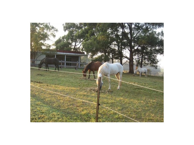 55 Terry Road, Box Hill NSW 2765