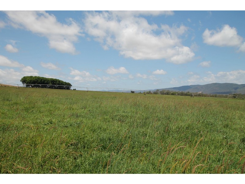 Atherton QLD 4883