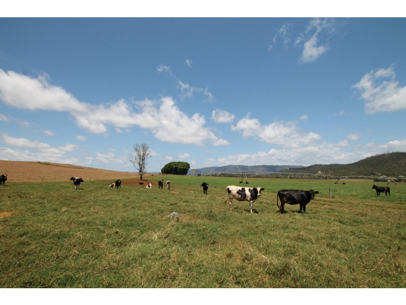 Atherton QLD 4883