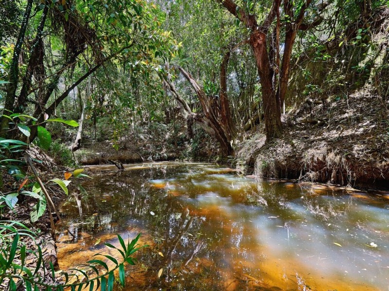Yungaburra QLD 4884