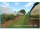 Yungaburra QLD 4884
