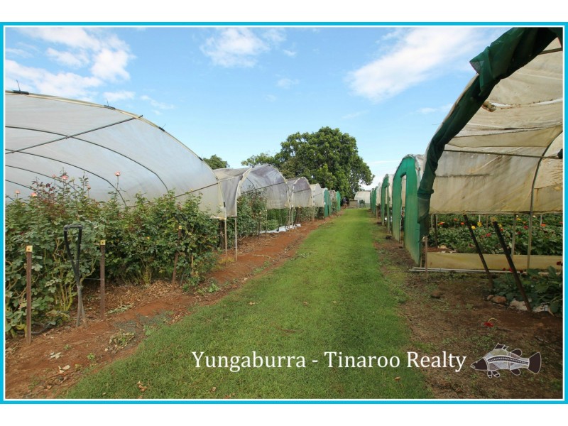Yungaburra QLD 4884