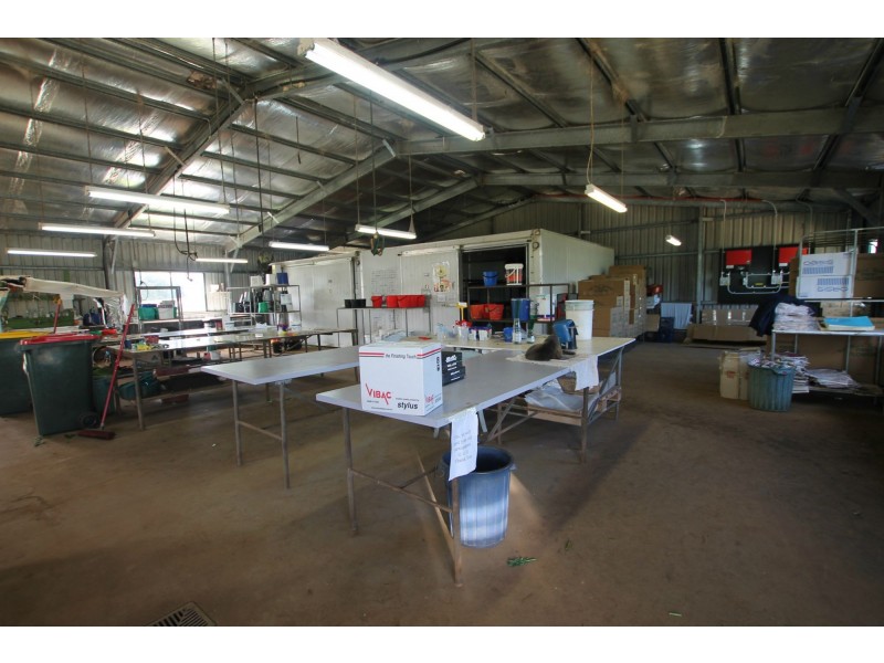 Yungaburra QLD 4884