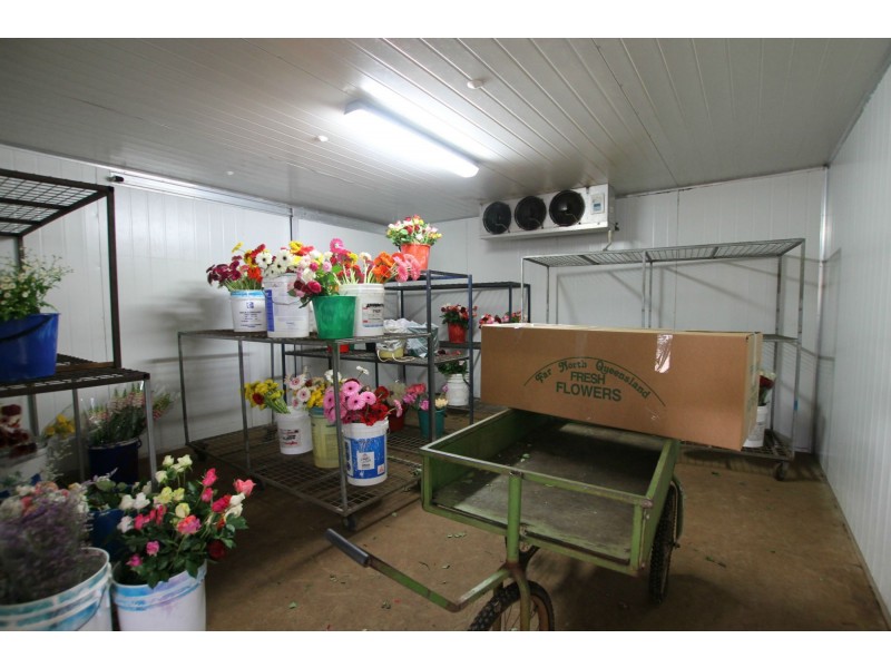 Yungaburra QLD 4884
