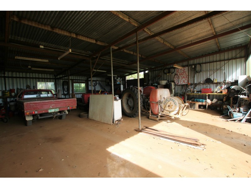 Yungaburra QLD 4884