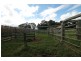 Yungaburra QLD 4884