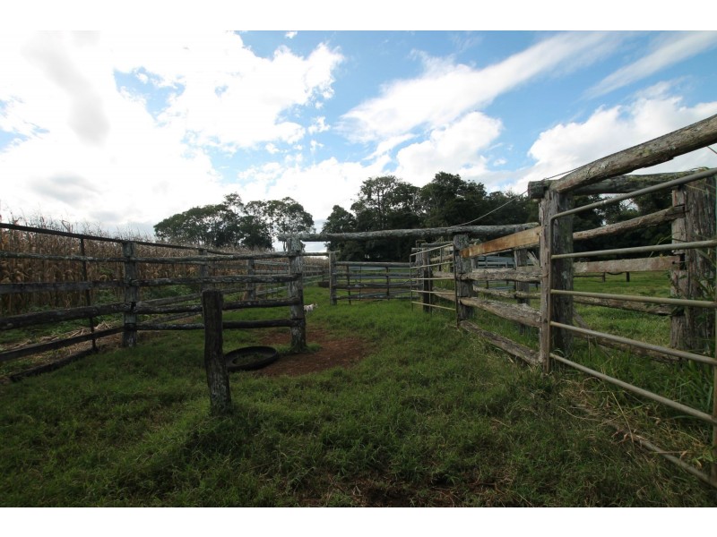 Yungaburra QLD 4884