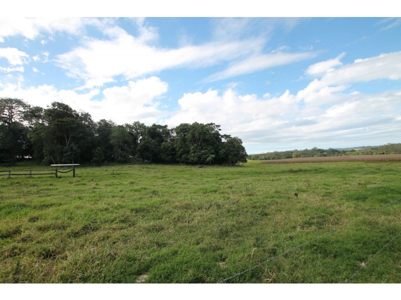 Yungaburra QLD 4884