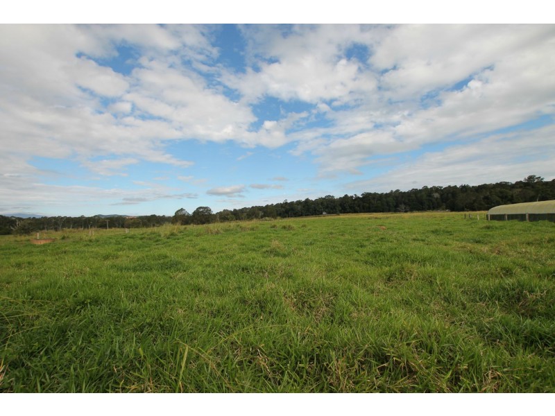 Yungaburra QLD 4884