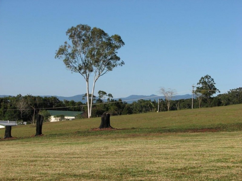 Malanda QLD 4885