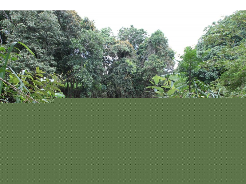 Lot 5 Lorensen Close, Malanda QLD 4885