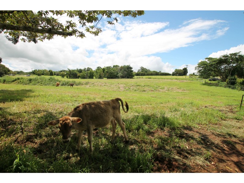 Lot 5 Lorensen Close, Malanda QLD 4885