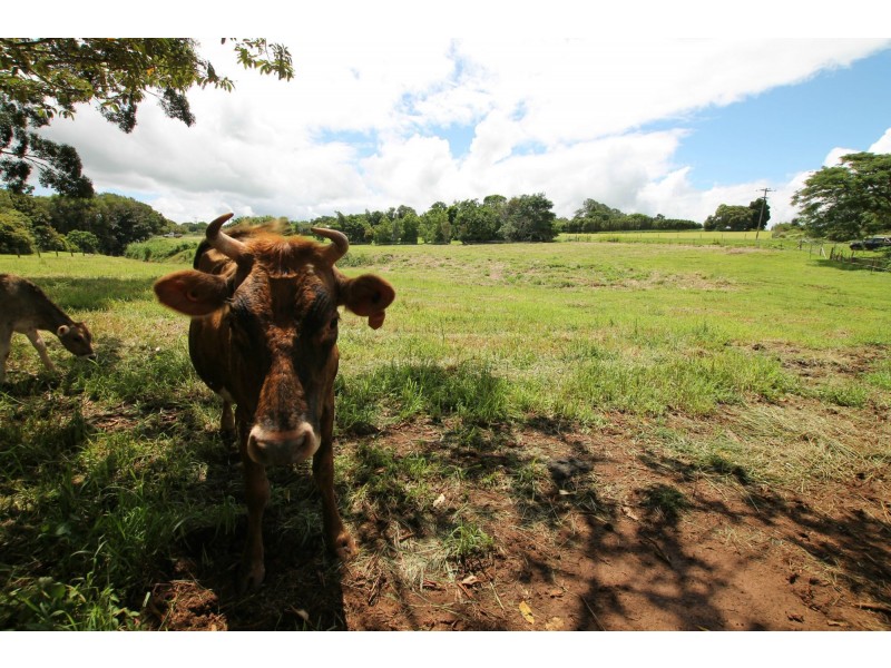 Lot 5 Lorensen Close, Malanda QLD 4885