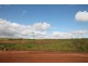 Yungaburra QLD 4884