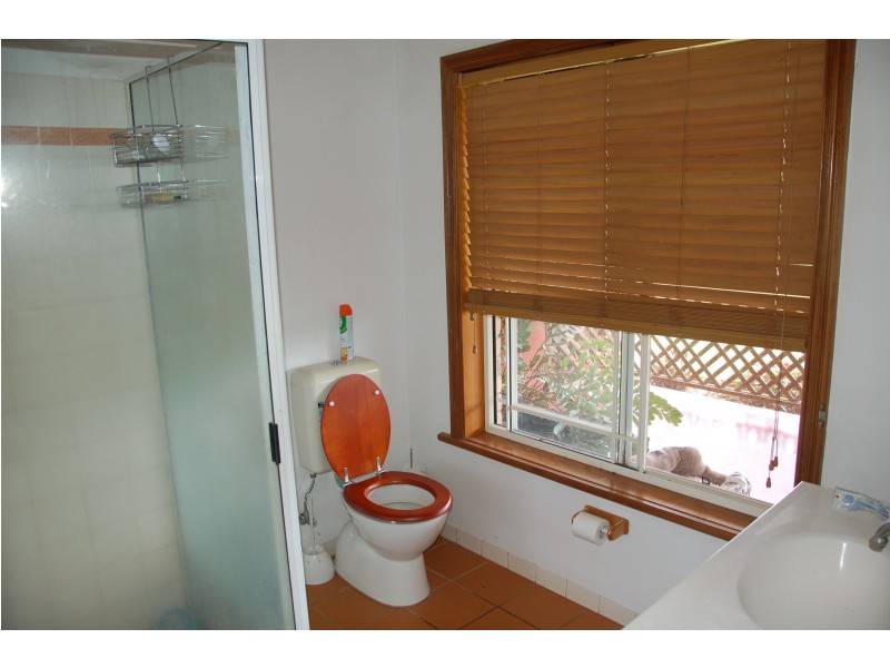 Yungaburra QLD 4884