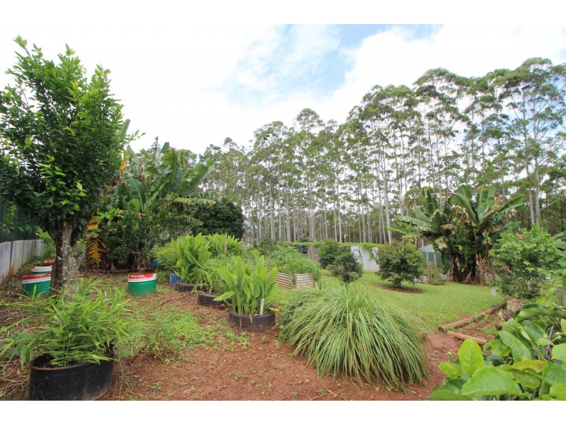 Yungaburra QLD 4884