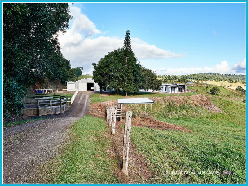 Yungaburra QLD 4884