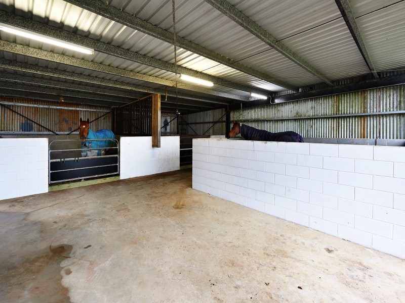Yungaburra QLD 4884