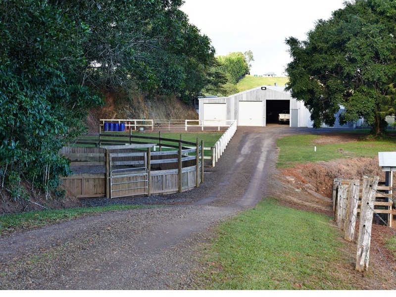 Yungaburra QLD 4884