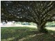 Yungaburra QLD 4884