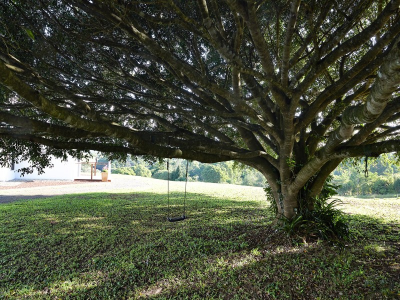 Yungaburra QLD 4884