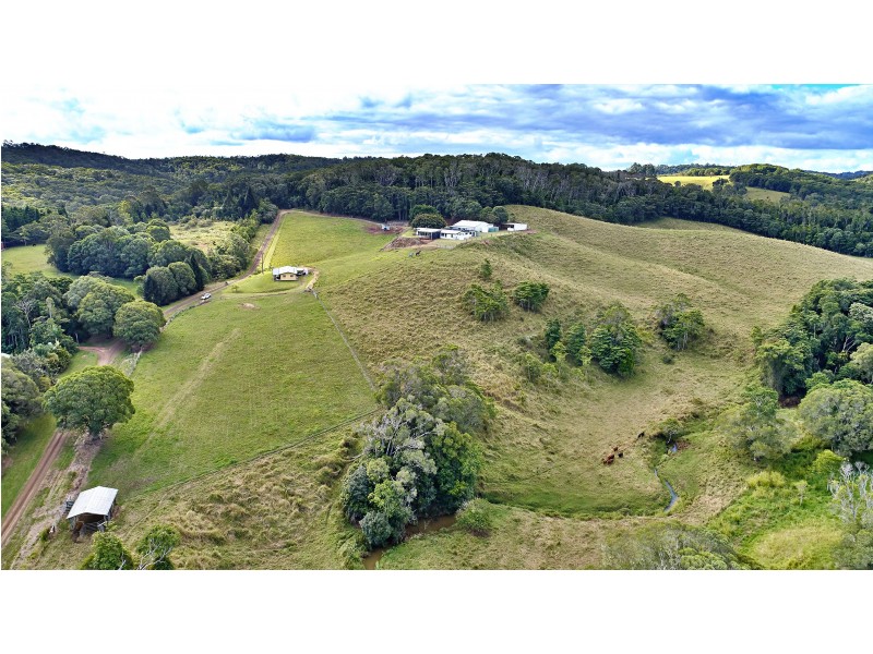 Yungaburra QLD 4884
