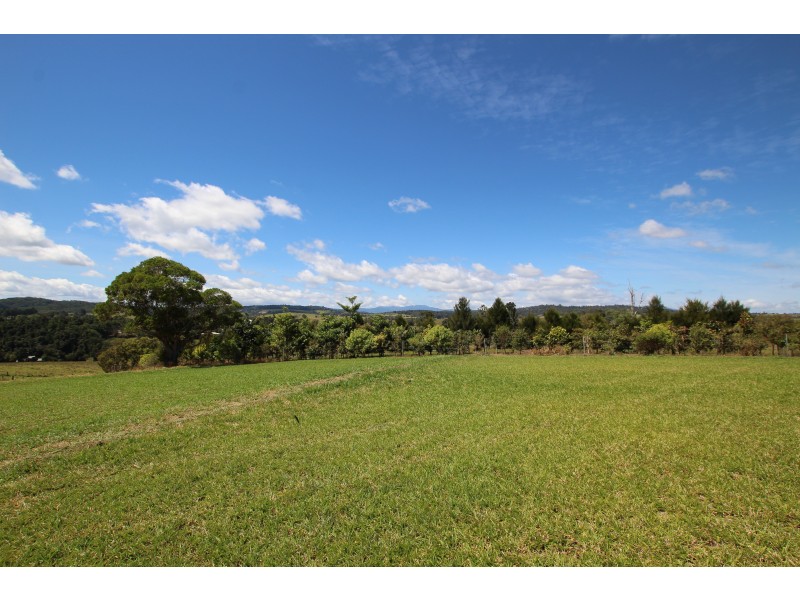 Yungaburra QLD 4884