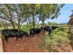 57 Denny Road, Yungaburra QLD 4884