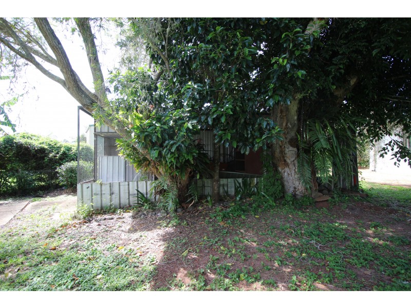 Yungaburra QLD 4884