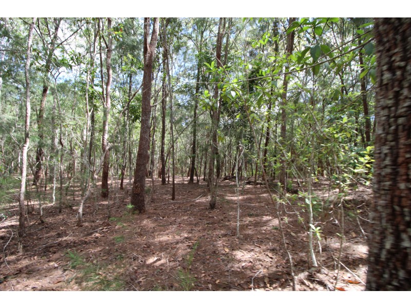 169 Mulgrave Road, Yungaburra QLD 4884