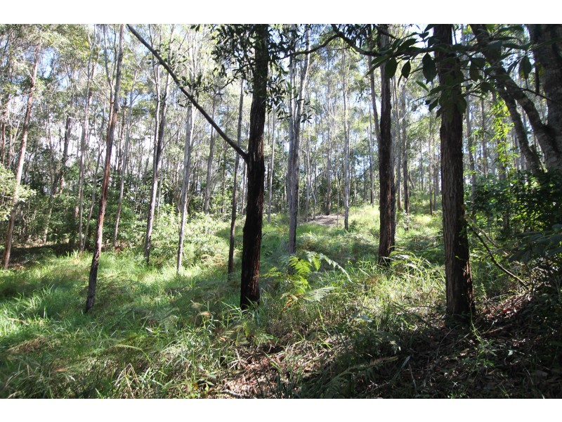 Lot  2/257 Lloyd Road, Yungaburra QLD 4884