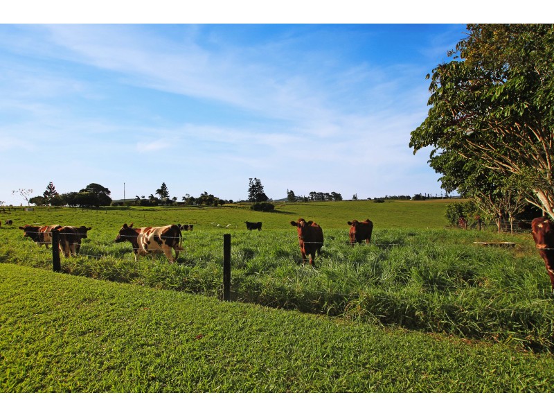 Malanda QLD 4885