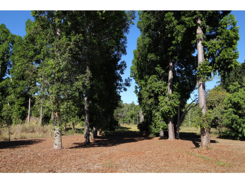174 Anderson Rd, Peeramon QLD 4885