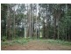 Lot 2 Russell Pocket Road, Yungaburra QLD 4884