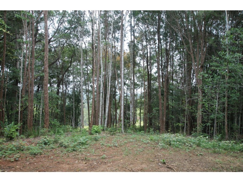 Lot 2 Russell Pocket Road, Yungaburra QLD 4884