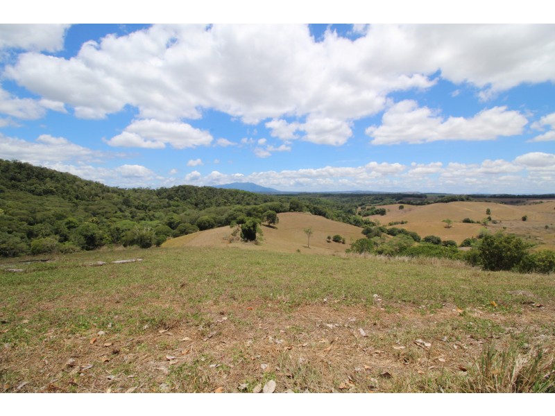 Yungaburra QLD 4884