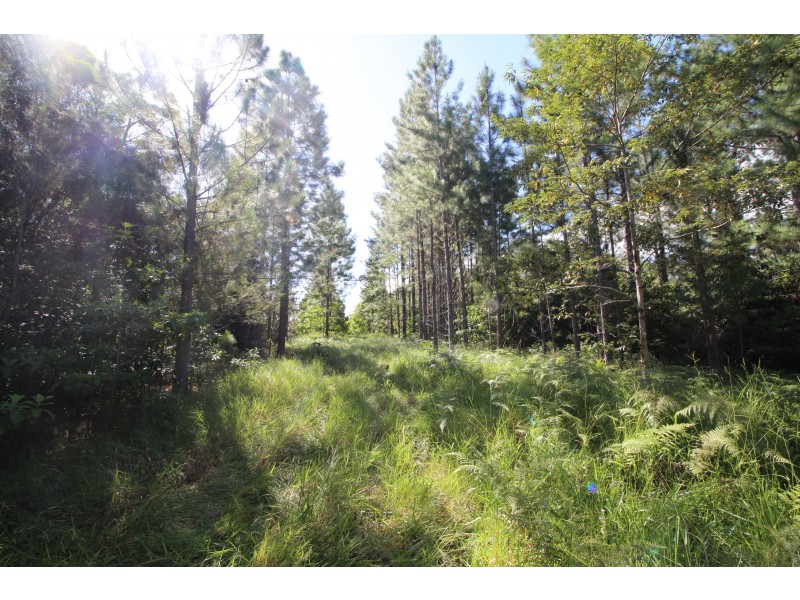 Lot 443 Amy Lee Close, Barrine QLD 4872