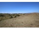 Tarzali QLD 4885