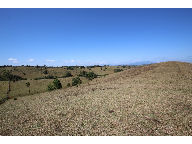 Tarzali QLD 4885