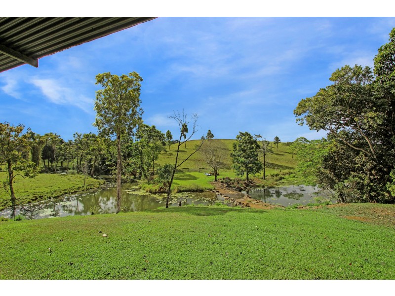 Millaa Millaa QLD 4886