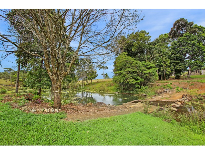 Millaa Millaa QLD 4886