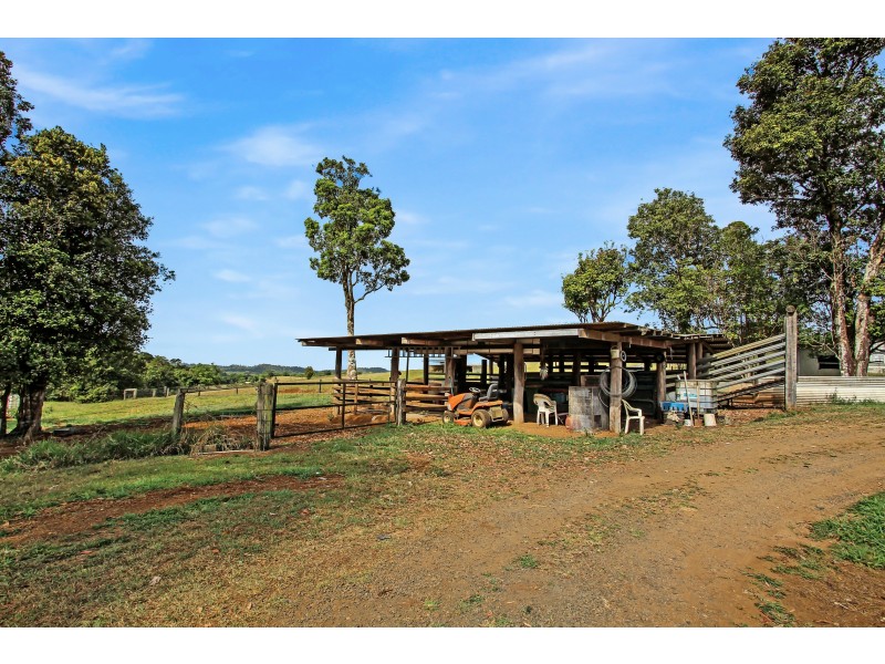 Millaa Millaa QLD 4886