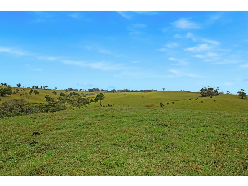 Millaa Millaa QLD 4886