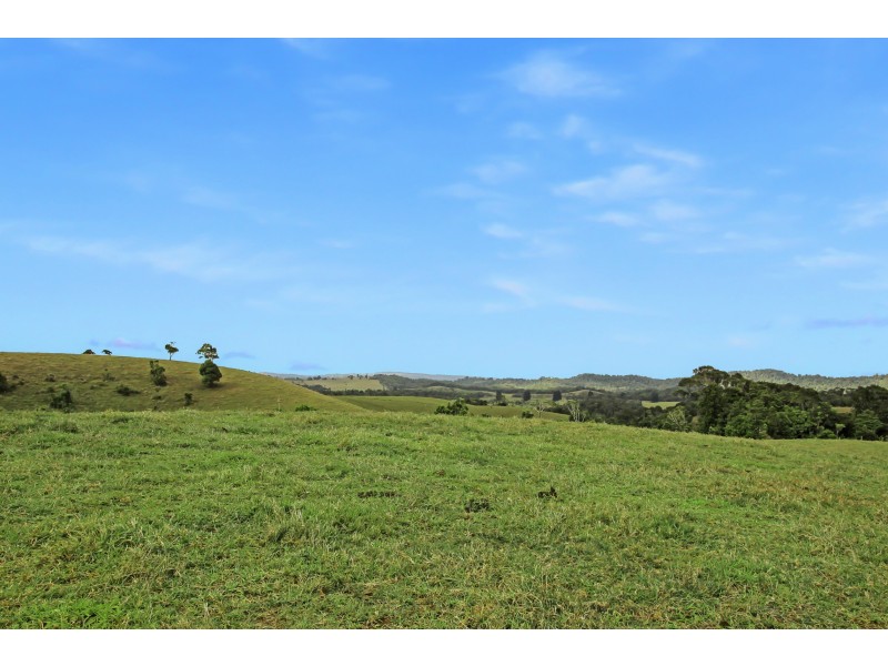 Millaa Millaa QLD 4886