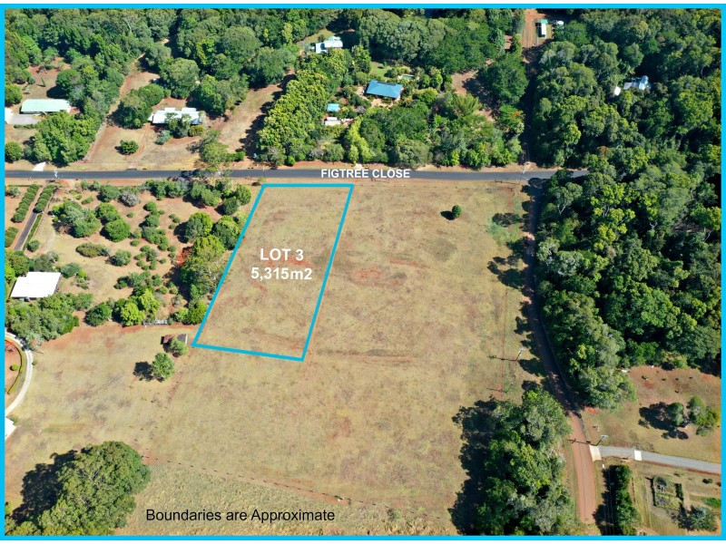 Lot 3 Figtree Close, Malanda QLD 4885