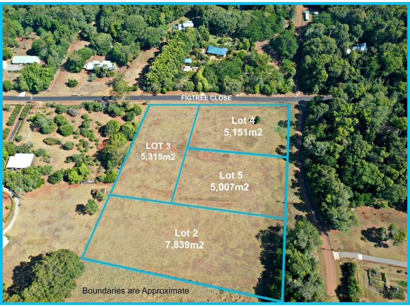 Lot 3 Figtree Close, Malanda QLD 4885