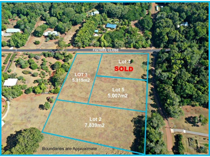 Lots 2-5 Figtree Close & Davies Road, Malanda QLD 4885