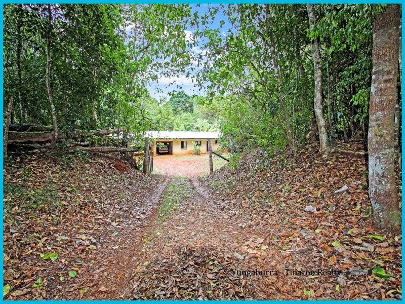 Yungaburra QLD 4884