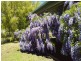 Tolga QLD 4882