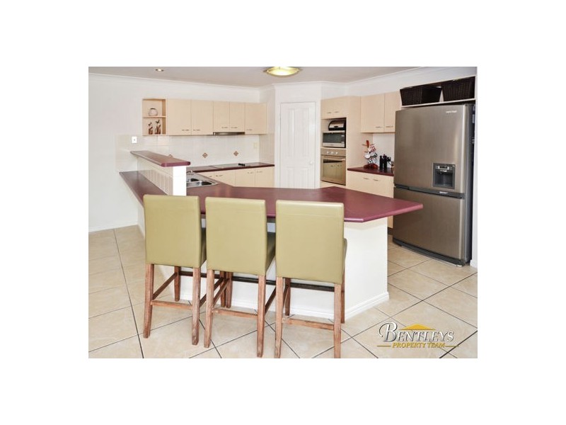 43 Discovery Drive, Little Mountain QLD 4551